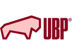 Logo "UBP Consulting" | © UBP Consulting