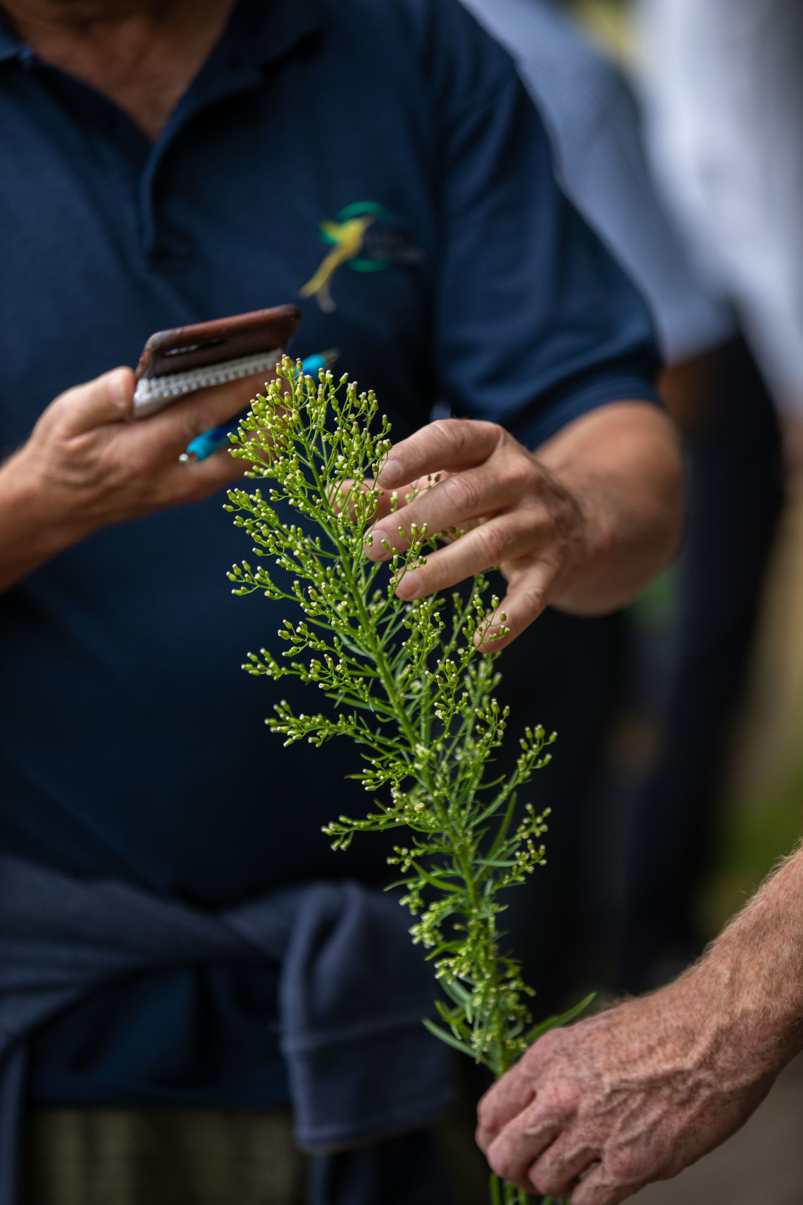 Ein Mann fotografiert eine Pflanze mit seinem Smartphone | © Arthur Bauer