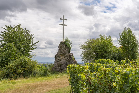 Der ” Herrgottsacker” in Deidesheim bietet beste Bedinungen für den Riesling. | © Christian Buck