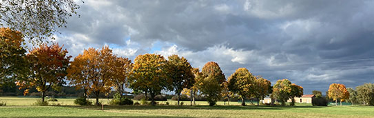 bunte Bäume im November | © MRN GmbH