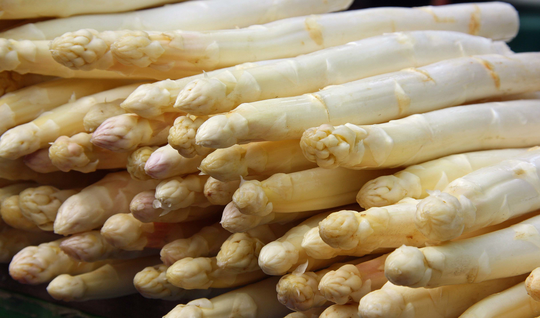 Spargel | © MRN GmbH/Limbacher