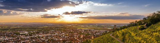 © MRN GmbH