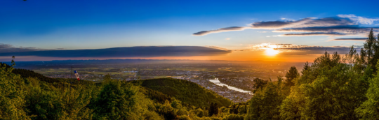 © MRN GmbH