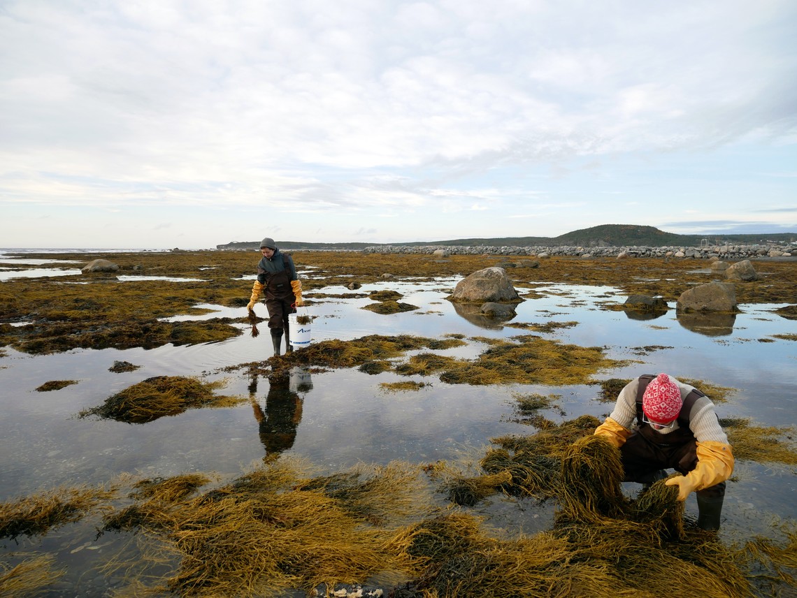 zwei Personen arbeiten im Wasser  | © Mia and Eric