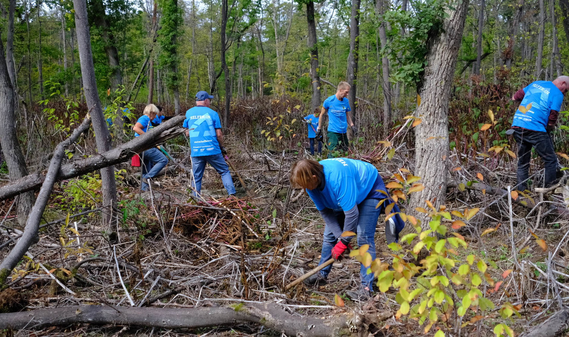 Personen arbeiten im Wald  | © MRN GmbH