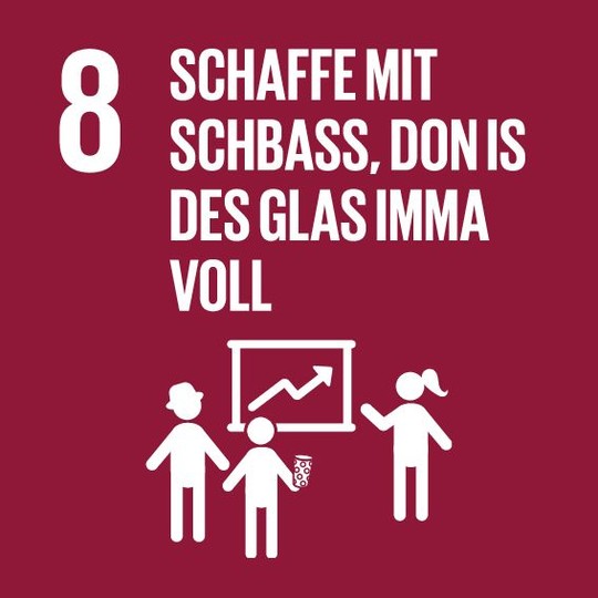 Kurpfalz-SDG 8 | © VRRN