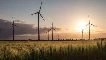 Sieben Windenergieanlagen auf einem Feld in der Abenddämmerung | © Adobe Stock / Tobias Arhelger
