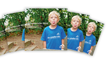 Jahresbericht 2016 | © MRN GmbH Fächerdarstellung Jahresbericht 2016 | © MRN GmbH