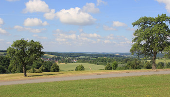 Grüne Landschaft mit Feldern und Bäumen | © VRRN / Pei