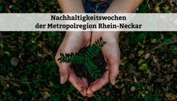 Nachhaltigkeitswochen der Metropolregion Rhein-Neckar | © Unsplash / Noah Buscher Hände die eine kleine Pflanze mit Erde in der Hand halten. Auf dem Boden sind Erde und Waldpflanzen | © Unsplash / Noah Buscher