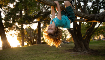 Kind auf einem Baum | © AdobeStock