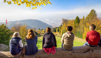 fünf Menschen sitzen mit dem Rücken zur Kamera auf einem Baumstamm und blicken von oben auf die Stadt Heidelberg | © Adobe Stock / eyetonic
